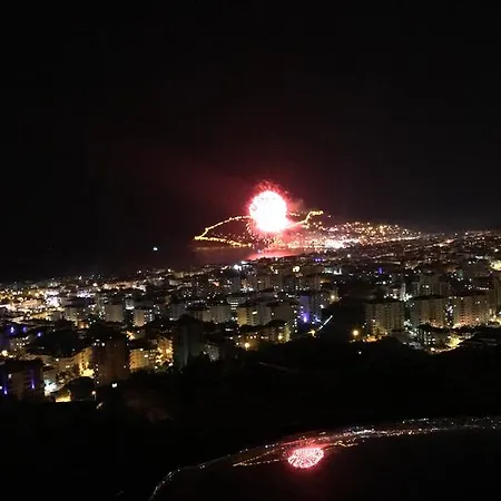 Jasmin Park فيلة