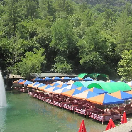 فيلة Jasmin Park
