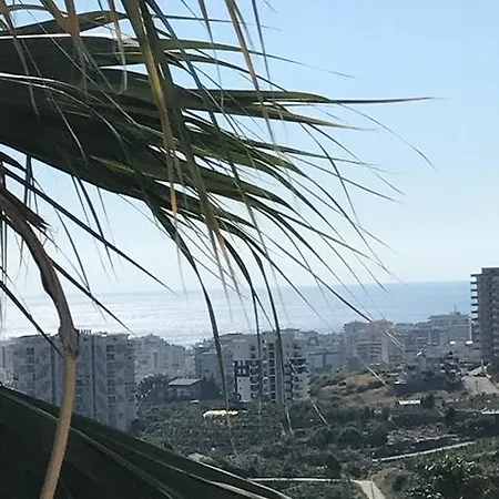 Jasmin Park فيلة *