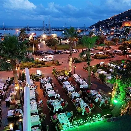 Jasmin Park فيلة *